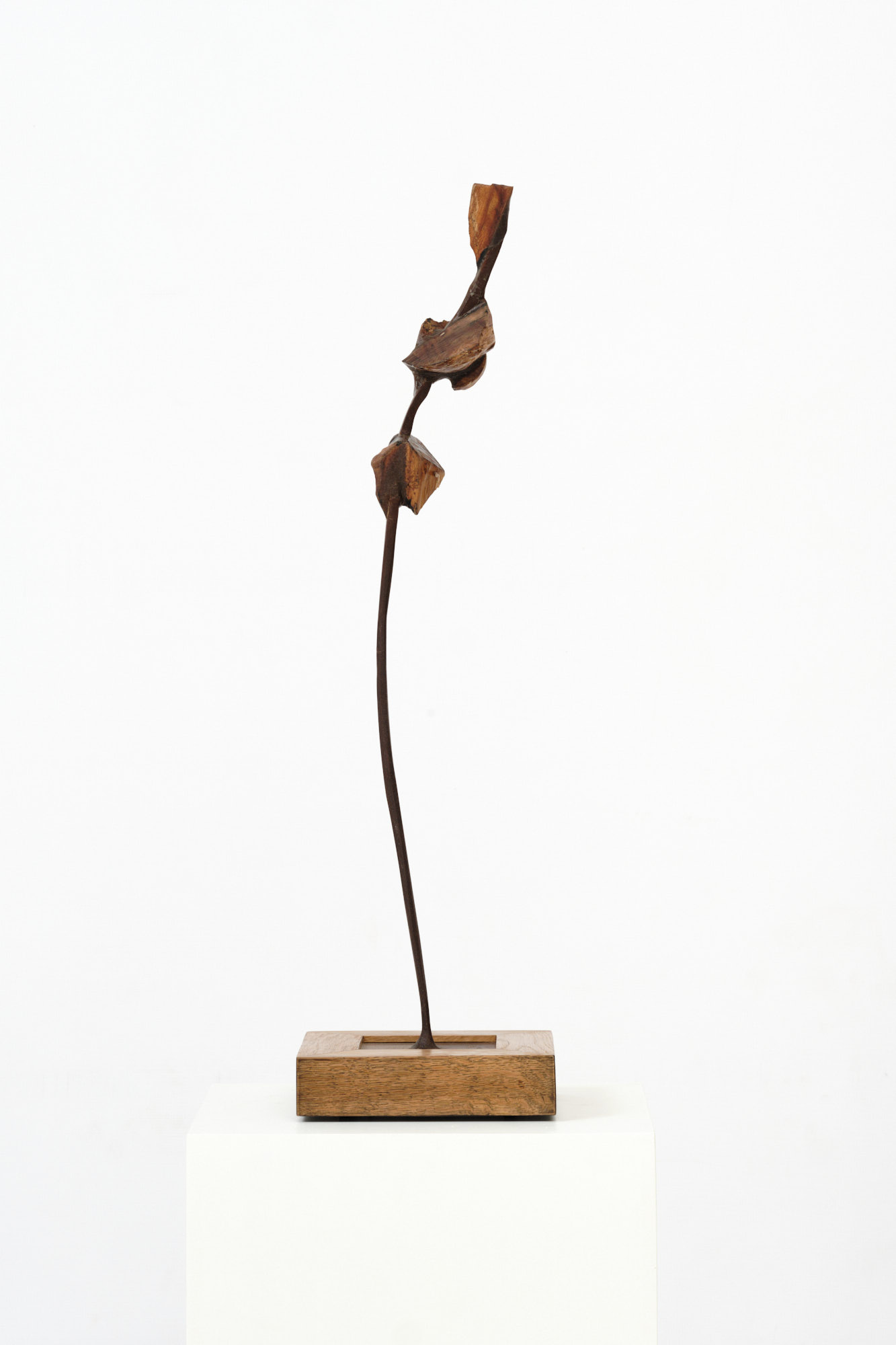 Michael Roderick Wedderburn Sculpture